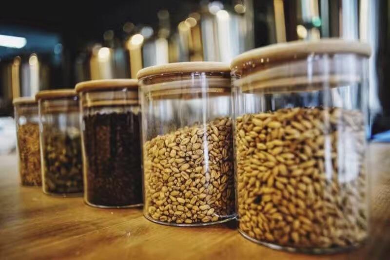 哪些種類的麥芽適合做精釀啤酒呢？