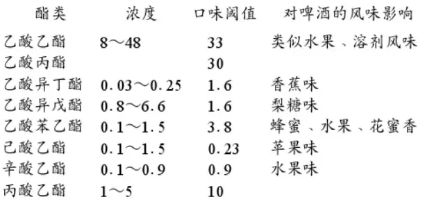 精釀啤酒設(shè)備,啤酒廠設(shè)備,開(kāi)辦啤酒廠,發(fā)酵，錐形罐